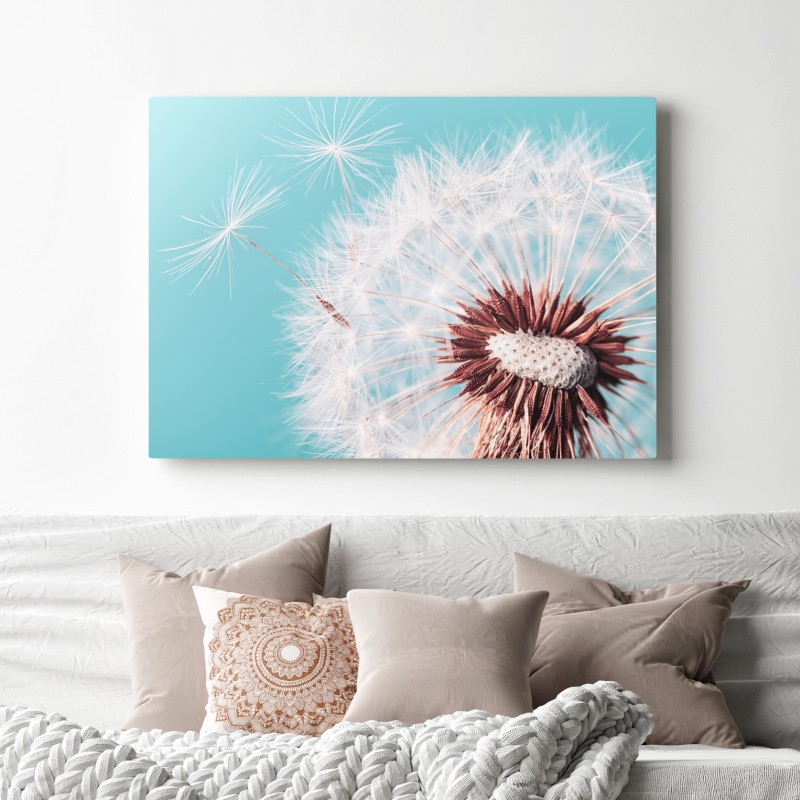 Leinwandbild zarter löwenzahn vor türkisfarbenem hintergrund – Wallnifity® Leinwandbild zarter löwenzahn vor türkisfarbenem hintergrund – Wallnifity®