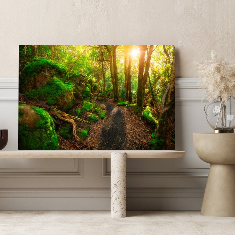 Leinwandbild sonniger pfad im regenwald der Tasman-Halbinsel, Tasmanien – Wallnifity® Leinwandbild sonniger pfad im regenwald der Tasman-Halbinsel, Tasmanien – Wallnifity®