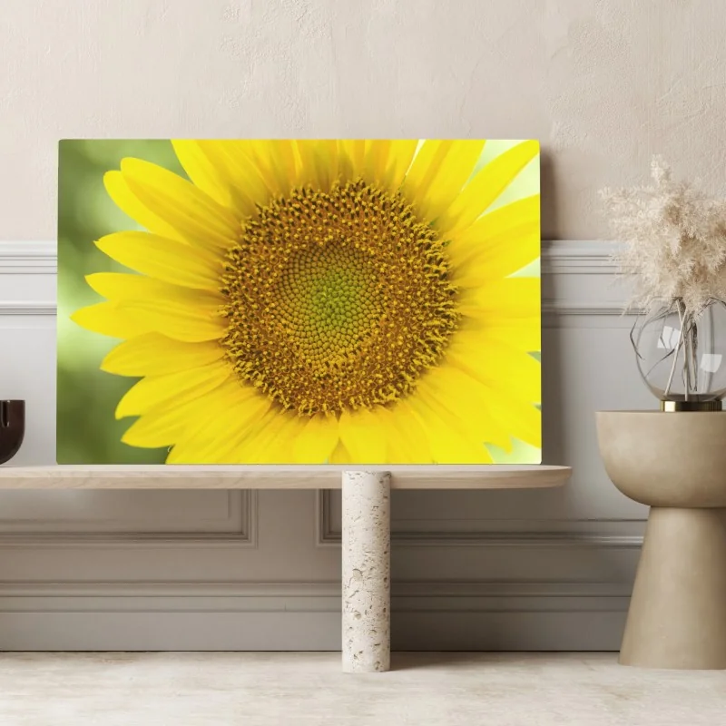 Leinwandbild leuchtende nahaufnahme sonnenblume – Wallnifity® Leinwandbild leuchtende nahaufnahme sonnenblume – Wallnifity®