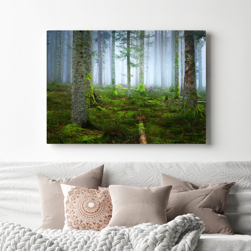 Leinwandbild nebliger kiefernwald aus dem Elsass – Wallnifity® Leinwandbild nebliger kiefernwald aus dem Elsass – Wallnifity®