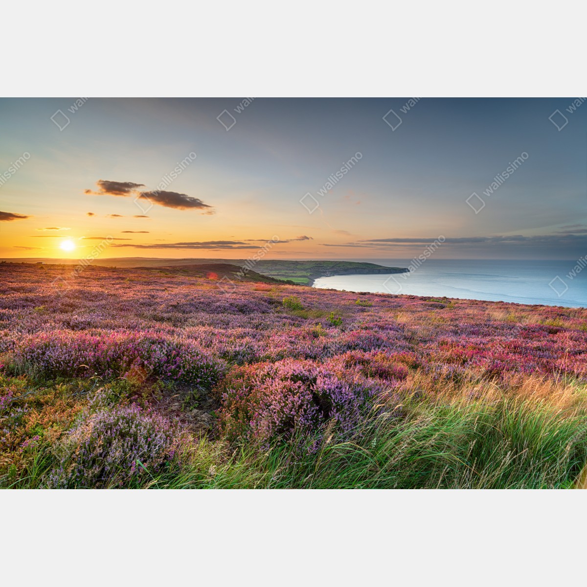 Leinwandbild sonnenuntergang über der heide auf den North York Moors – Wallnifity® Leinwandbild sonnenuntergang über der heide auf den North York Moors – Wallnifity®