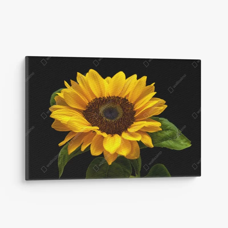 Leinwandbild leuchtendes aquarellporträt einer frau – Wallnifity®