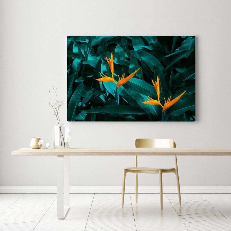 Leinwandbild tropische strelitzie auf türkisfarbenen blättern – Wallnifity® Leinwandbild tropische strelitzie auf türkisfarbenen blättern – Wallnifity®