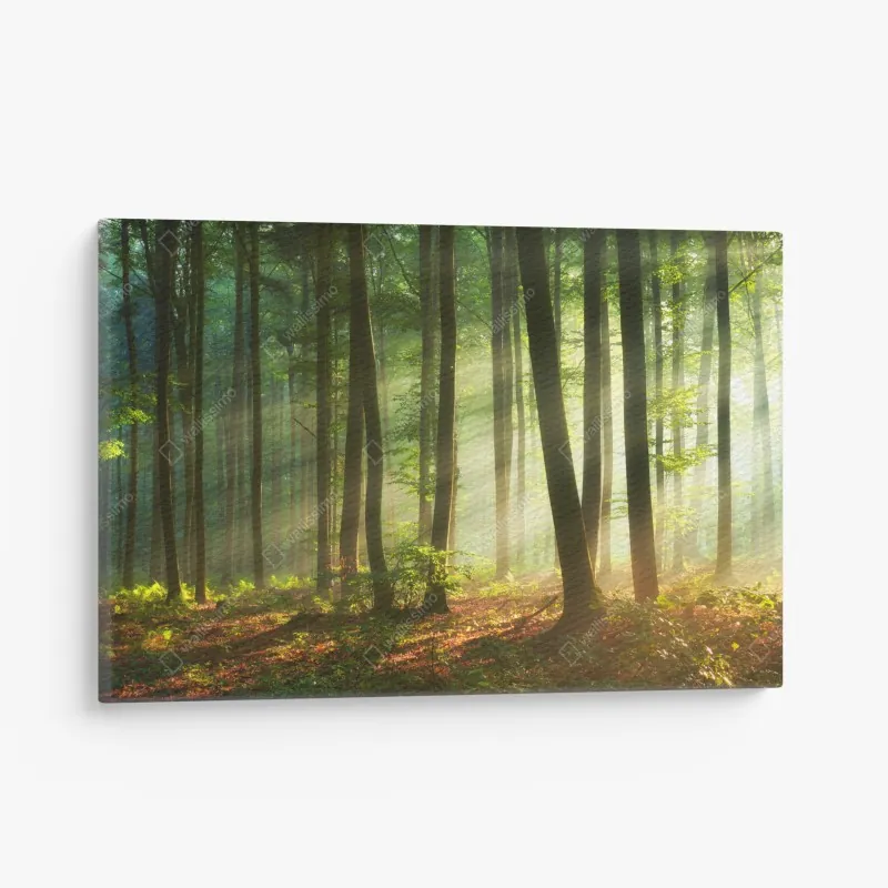 Leinwandbild sonnige gasse in Brindisi – Wallnifity®