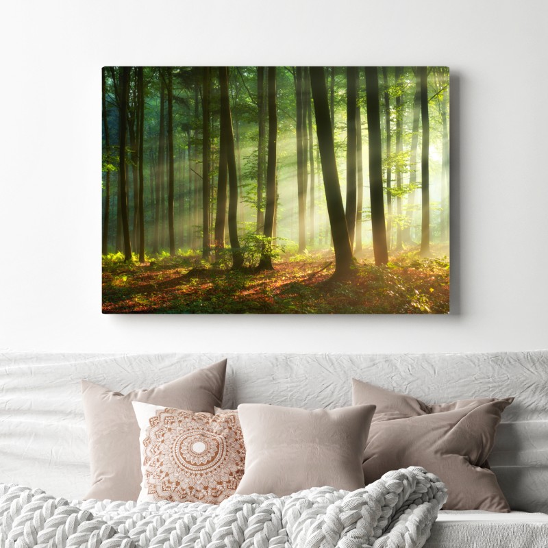 Leinwandbild sonnenbeschienener morgenwald – Wallnifity® Leinwandbild sonnenbeschienener morgenwald – Wallnifity®