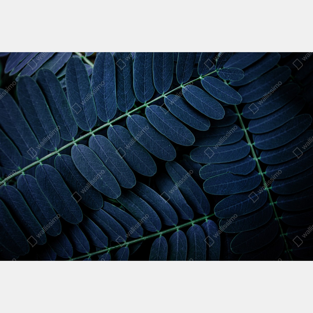 Leinwandbild tiefblaues blattmuster – Wallnifity® Leinwandbild tiefblaues blattmuster – Wallnifity®