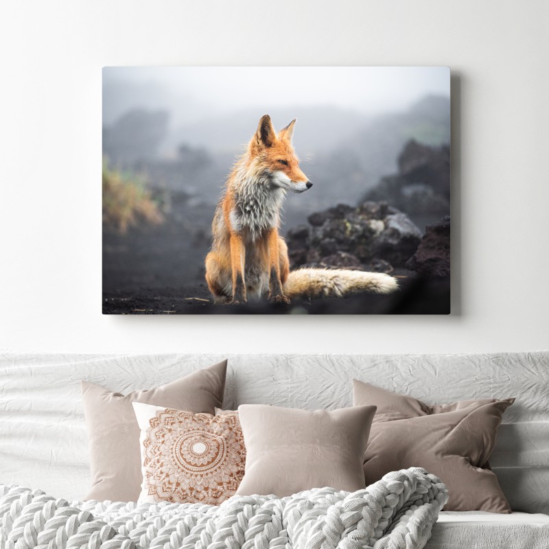 Leinwandbild roter fuchs in nebliger landschaft – Wallnifity® Leinwandbild roter fuchs in nebliger landschaft – Wallnifity®