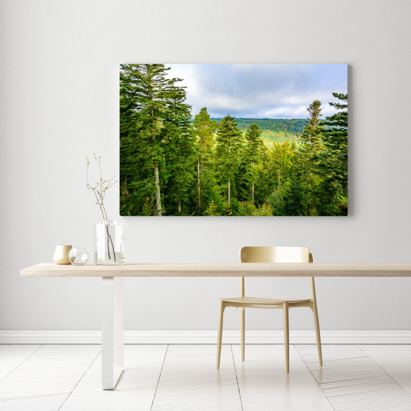 Leinwandbild Schwarzwald herbstliche waldlandschaft – Wallnifity® Leinwandbild Schwarzwald herbstliche waldlandschaft – Wallnifity®