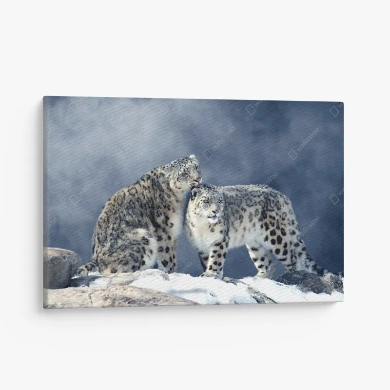 Leinwandbild tropischer strand in Phuket mit palme – Wallnifity®