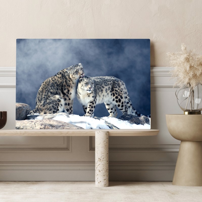 Leinwandbild majestätische schneeleoparden im winter – Wallnifity® Leinwandbild majestätische schneeleoparden im winter – Wallnifity®