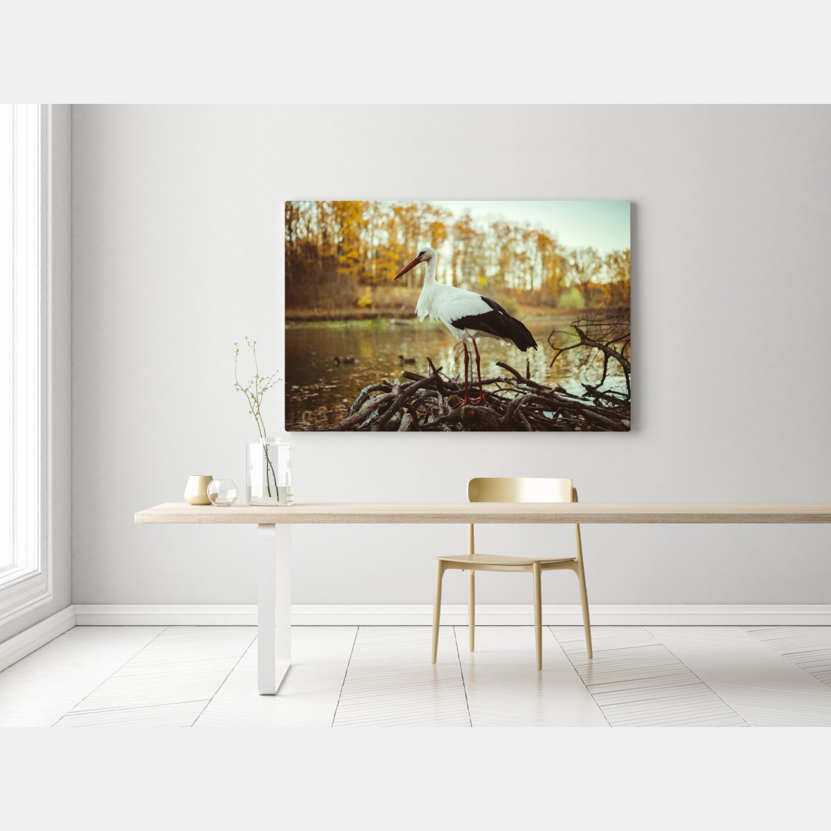 Leinwandbild weißer storch am herbstlichen see – Wallnifity® Leinwandbild weißer storch am herbstlichen see – Wallnifity®