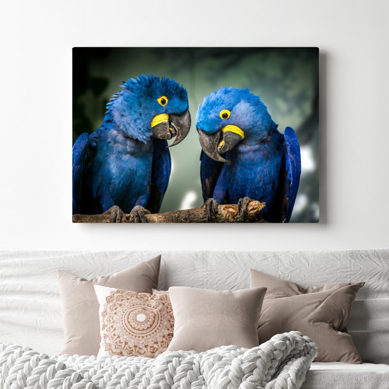 Leinwandbild paar blauer aras - nahaufnahme – Wallnifity® Leinwandbild paar blauer aras - nahaufnahme – Wallnifity®