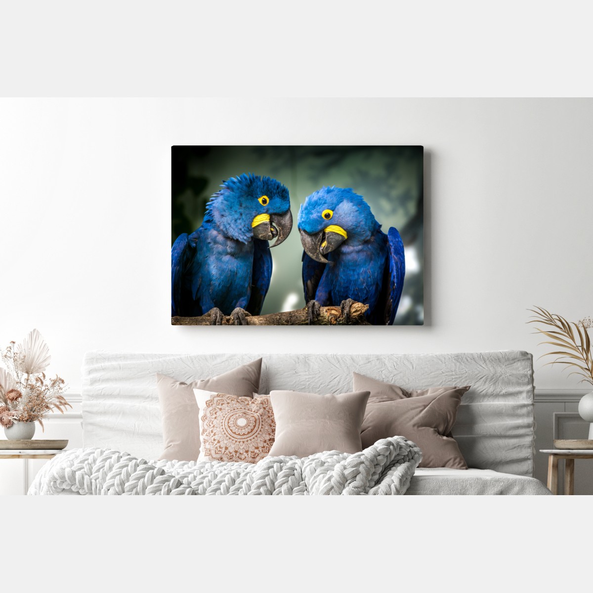 Leinwandbild paar blauer aras - nahaufnahme – Wallnifity® Leinwandbild paar blauer aras - nahaufnahme – Wallnifity®