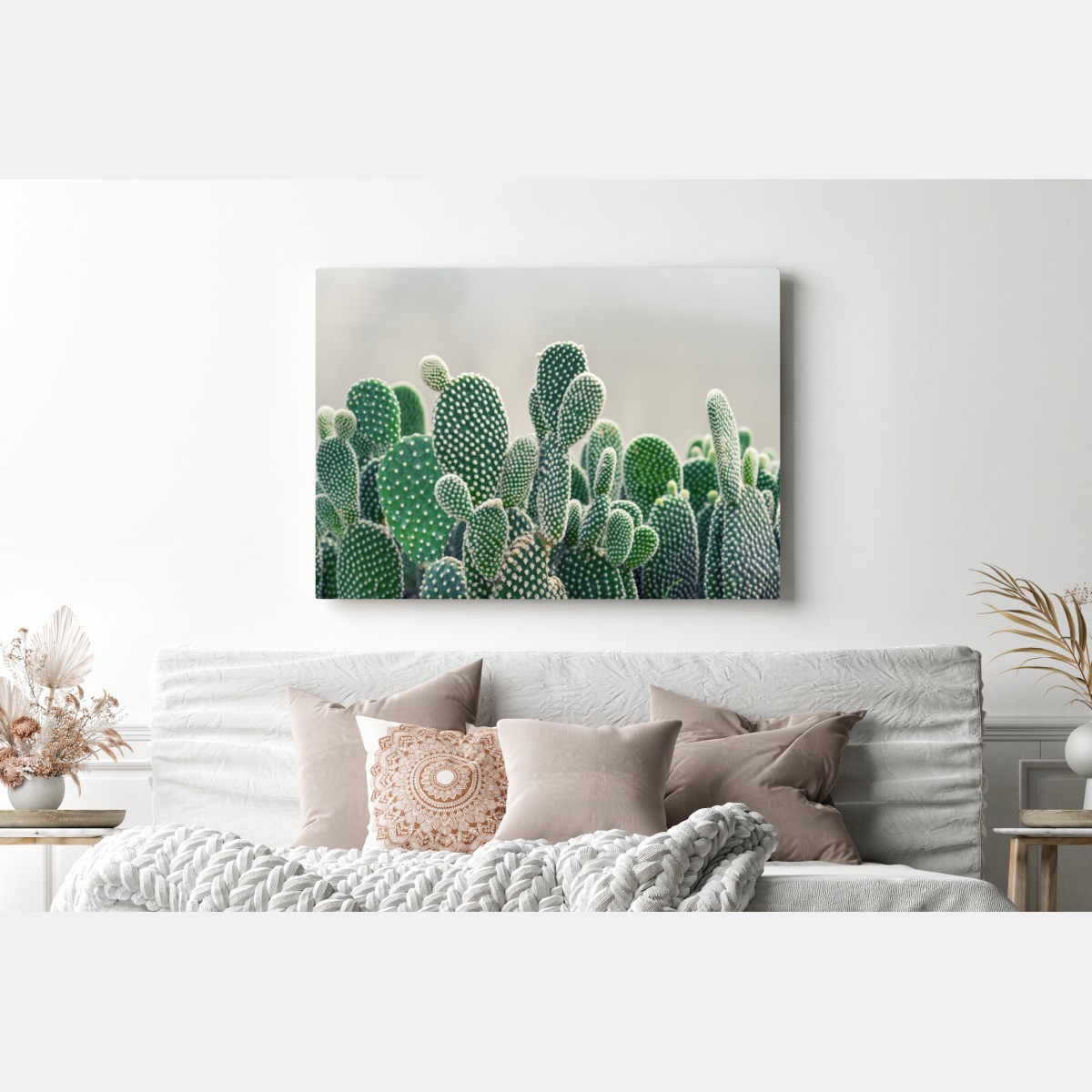 Leinwandbild nahaufnahme eines opuntienkaktus – Wallnifity® Leinwandbild nahaufnahme eines opuntienkaktus – Wallnifity®