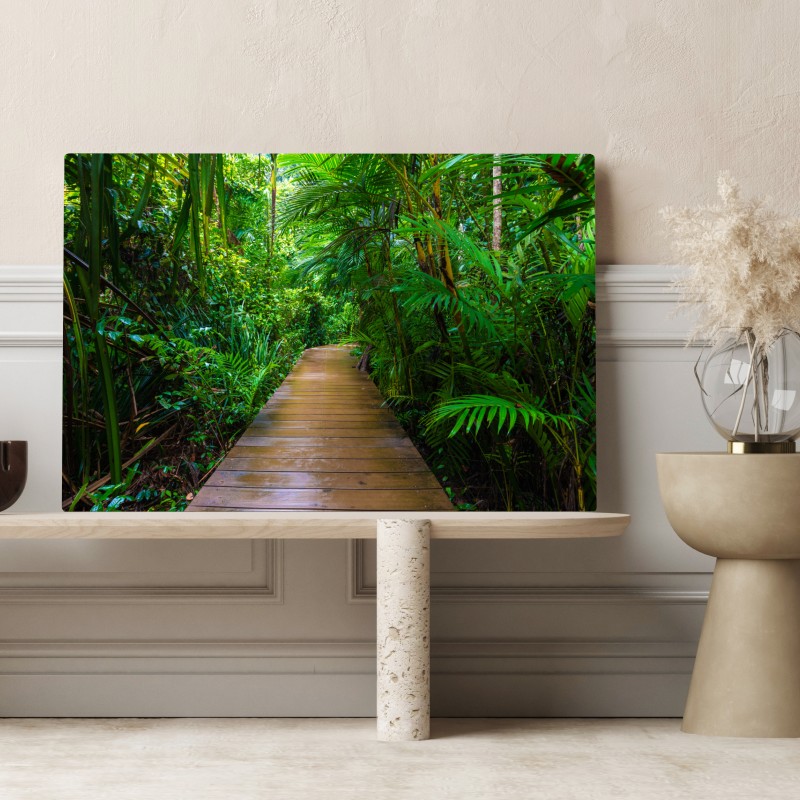 Leinwandbild mangrovensteg durch üppigen grünen dschungel – Wallnifity® Leinwandbild mangrovensteg durch üppigen grünen dschungel – Wallnifity®
