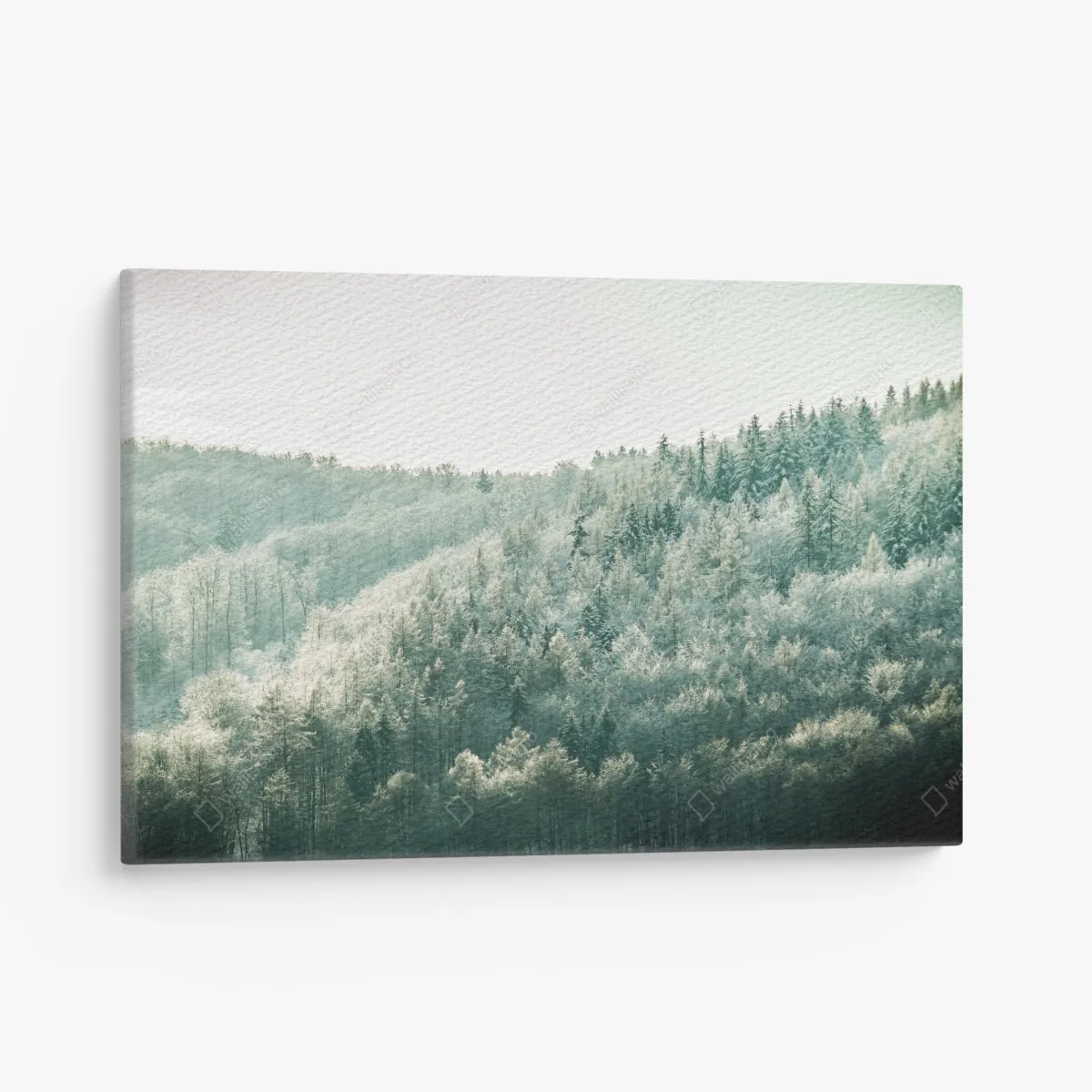 Leinwandbild nebliger reifbedeckter wald – Wallnifity® Leinwandbild nebliger reifbedeckter wald – Wallnifity®