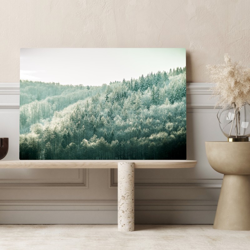 Leinwandbild nebliger reifbedeckter wald – Wallnifity® Leinwandbild nebliger reifbedeckter wald – Wallnifity®