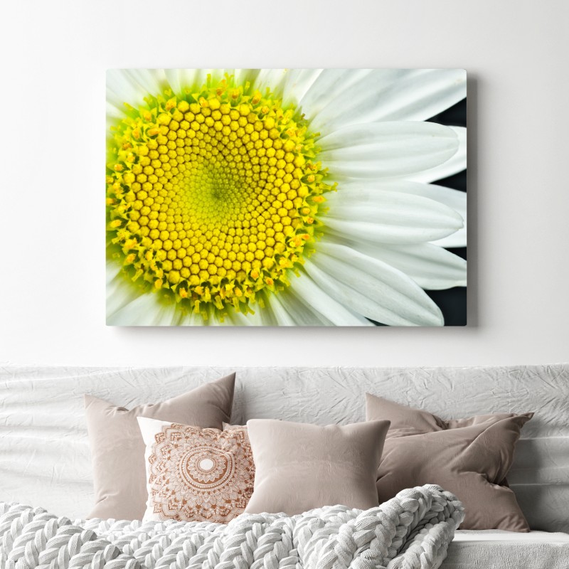 Leinwandbild makro gänseblümchen spiralmuster – Wallnifity® Leinwandbild makro gänseblümchen spiralmuster – Wallnifity®
