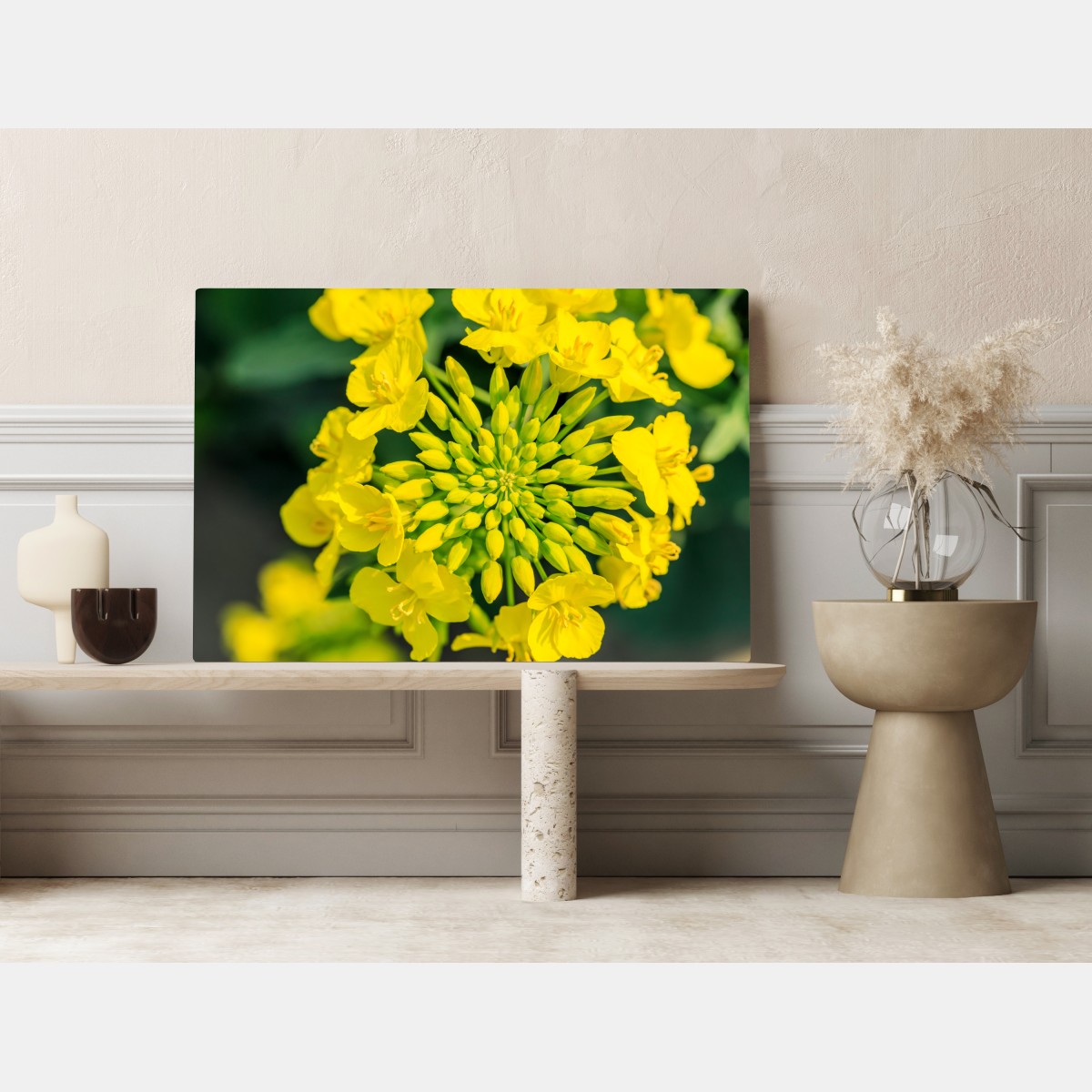 Leinwandbild lebhafte gelbe rapsblüte im nahen makro – Wallnifity® Leinwandbild lebhafte gelbe rapsblüte im nahen makro – Wallnifity®