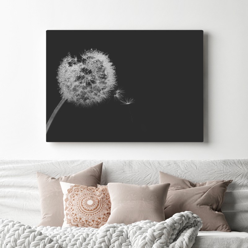 Leinwandbild zarter löwenzahn in monochrom – Wallnifity® Leinwandbild zarter löwenzahn in monochrom – Wallnifity®