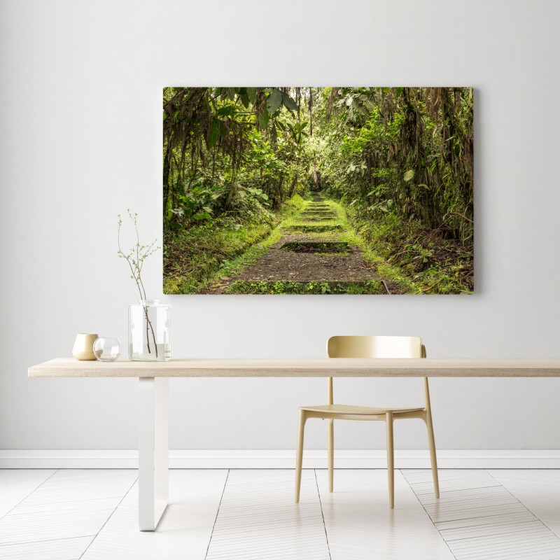 Leinwandbild pfad durch üppigen dschungel – Wallnifity® Leinwandbild pfad durch üppigen dschungel – Wallnifity®