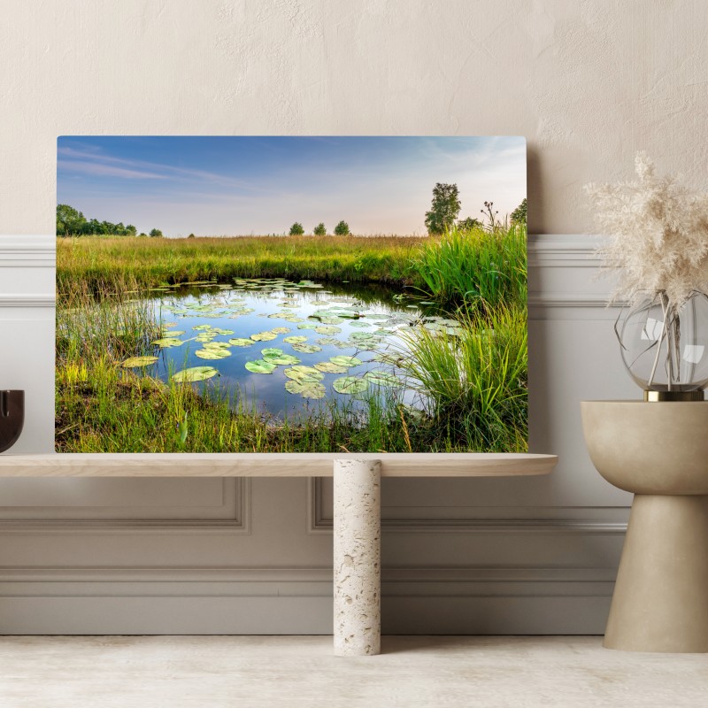 Leinwandbild ruhiger seerosen-teich in der wiese – Wallnifity® Leinwandbild ruhiger seerosen-teich in der wiese – Wallnifity®
