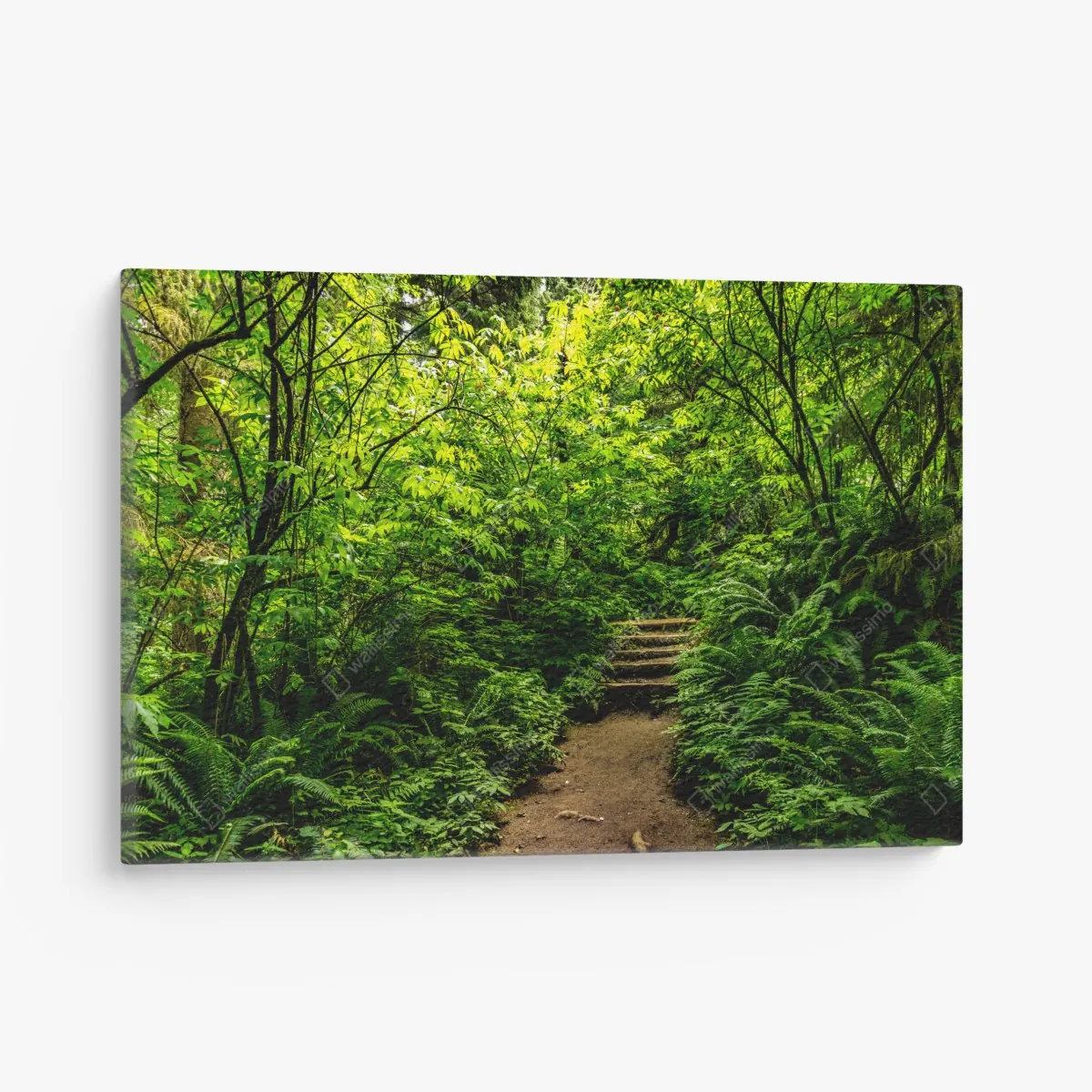Leinwandbild üppiger waldpfad – Wallnifity®