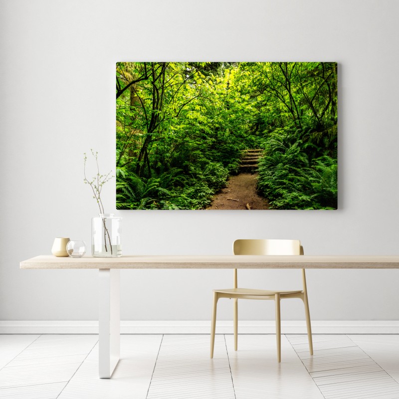 Leinwandbild üppiger waldpfad – Wallnifity®