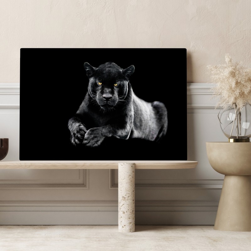 Leinwandbild porträt eines schwarzen panthers vor schwarzem hintergrund – Wallnifity® Leinwandbild porträt eines schwarzen panthers vor schwarzem hintergrund – Wallnifity®
