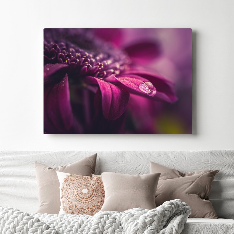 Leinwandbild lila makroblüte mit tautropfen – Wallnifity® Leinwandbild lila makroblüte mit tautropfen – Wallnifity®