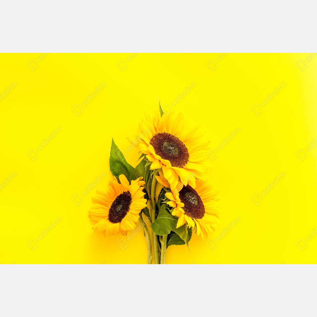Leinwandbild leuchtender sonnenblumenstrauß auf gelbem hintergrund – Wallnifity® Leinwandbild leuchtender sonnenblumenstrauß auf gelbem hintergrund – Wallnifity®