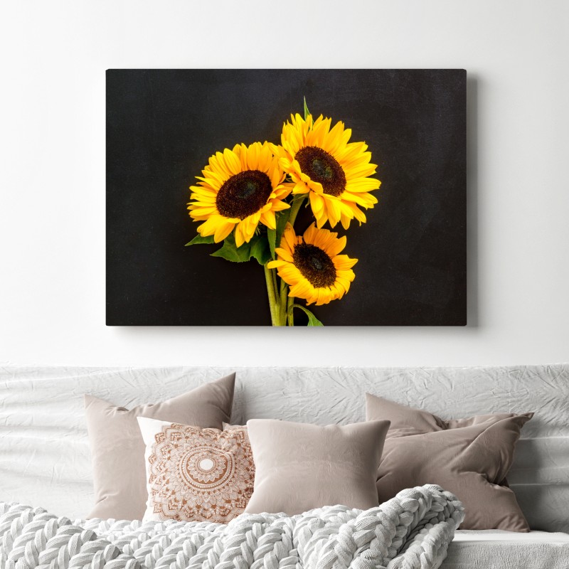 Leinwandbild leuchtende sonnenblumen auf schwarzem hintergrund – Wallnifity® Leinwandbild leuchtende sonnenblumen auf schwarzem hintergrund – Wallnifity®
