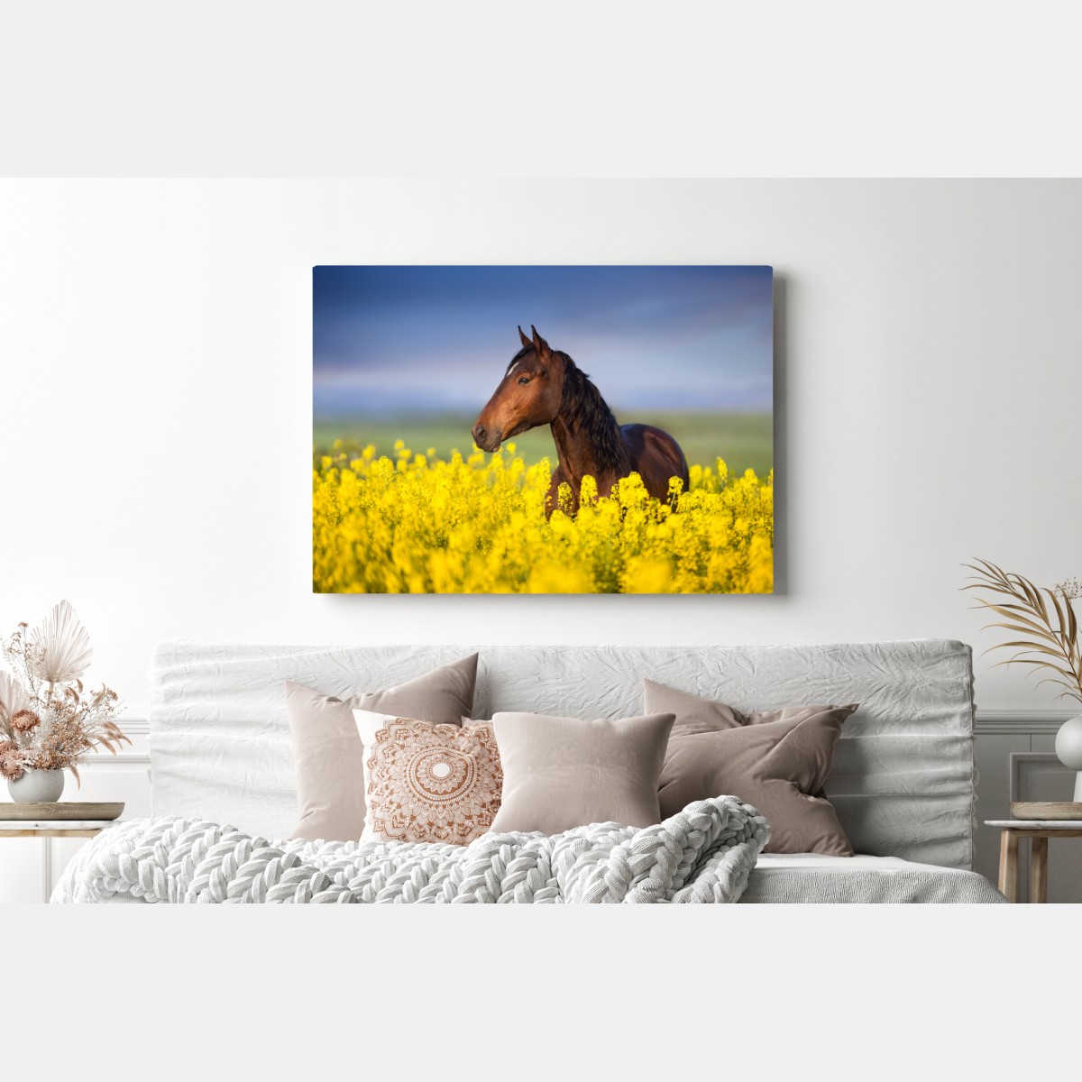 Leinwandbild braunes pferd im gelben rapsfeld – Wallnifity® Leinwandbild braunes pferd im gelben rapsfeld – Wallnifity®