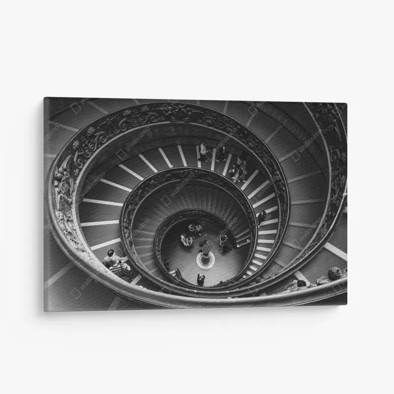 Leinwandbild sonniger pfad im regenwald der Tasman-Halbinsel, Tasmanien – Wallnifity®