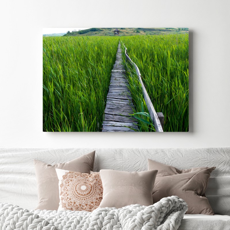 Leinwandbild ruhiger grüner steg durch schilfland zur rustikalen hütte – Wallnifity® Leinwandbild ruhiger grüner steg durch schilfland zur rustikalen hütte – Wallnifity®