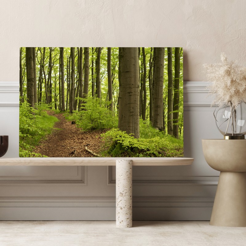 Leinwandbild ruhiger grüner waldweg – Wallnifity® Leinwandbild ruhiger grüner waldweg – Wallnifity®