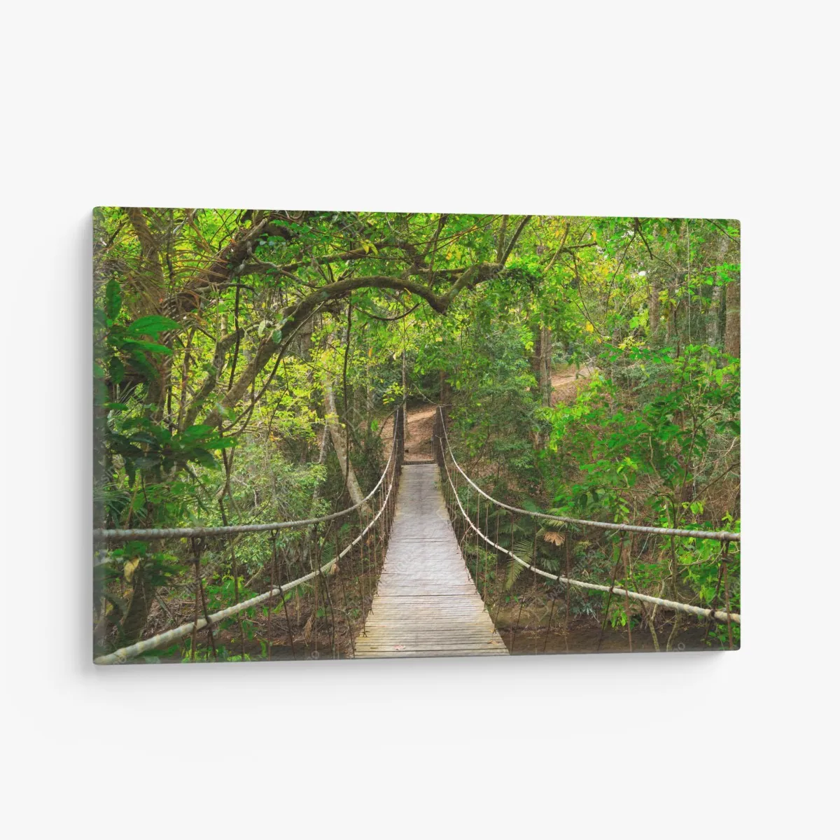 Leinwandbild hängende holzbrücke im grünen wald – Wallnifity® Leinwandbild hängende holzbrücke im grünen wald – Wallnifity®