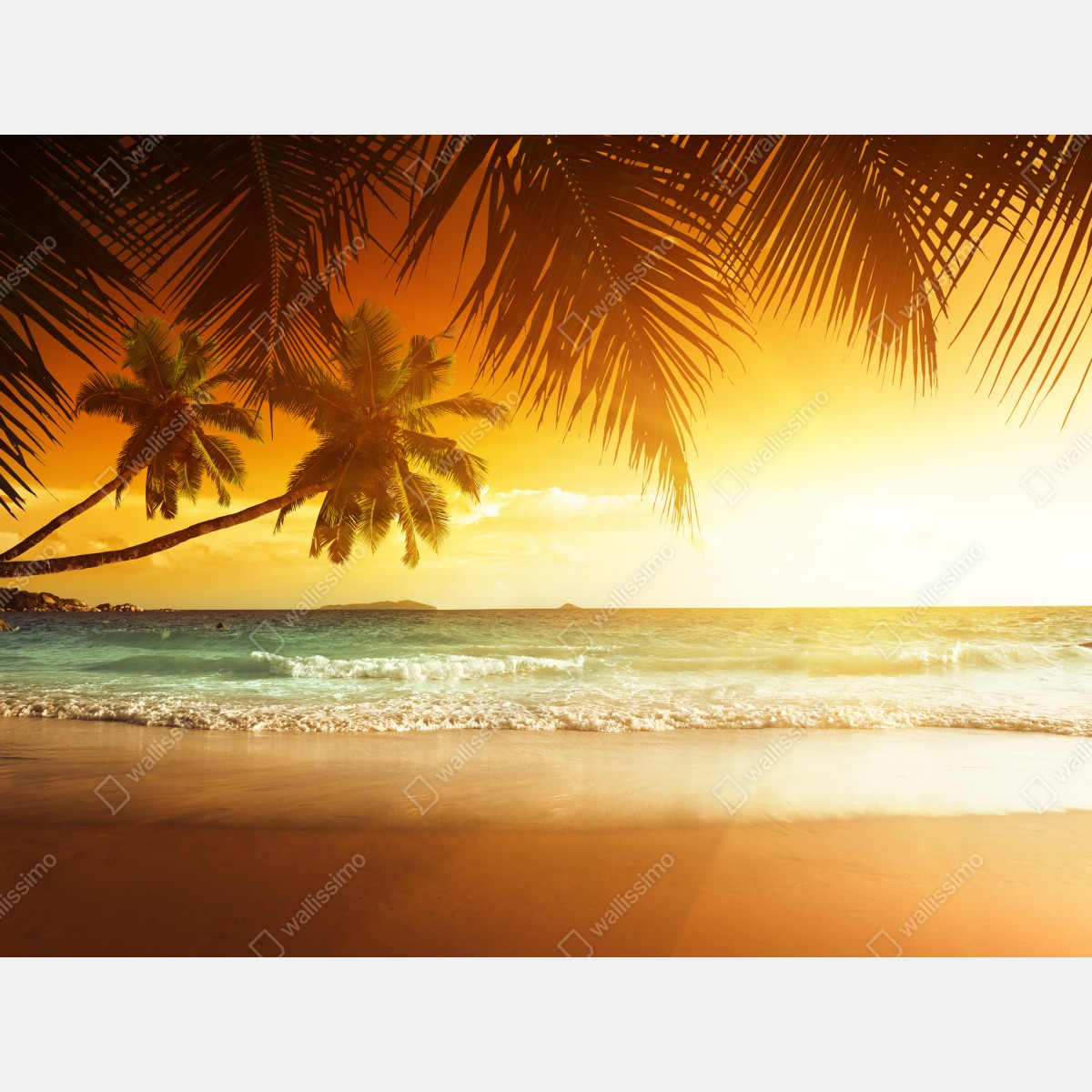 Leinwandbild goldener sonnenuntergang an einem strand in der Karibik – Wallnifity® Leinwandbild goldener sonnenuntergang an einem strand in der Karibik – Wallnifity®