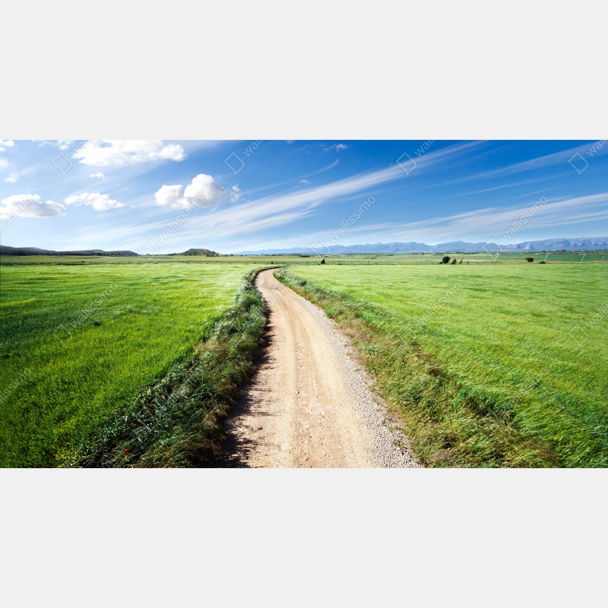 Leinwandbild gewundener landweg durch grüne wiesen – Wallnifity®