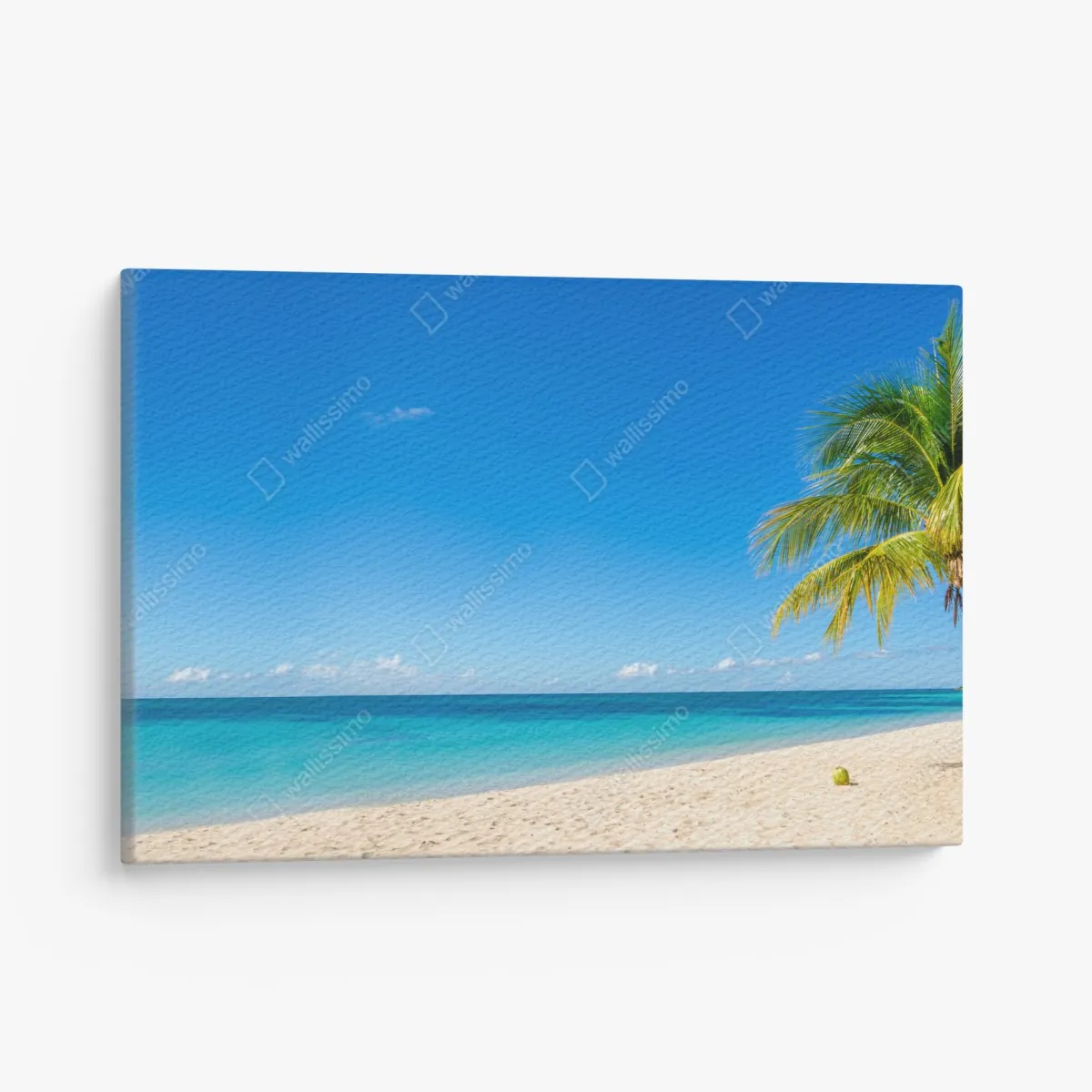 Leinwandbild tropischer strand mit türkiswasser und palme – Wallnifity® Leinwandbild tropischer strand mit türkiswasser und palme – Wallnifity®