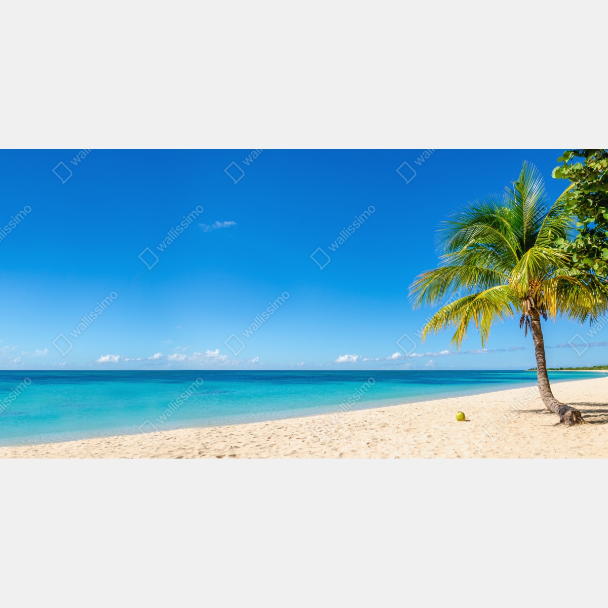 Leinwandbild tropischer strand mit türkiswasser und palme – Wallnifity® Leinwandbild tropischer strand mit türkiswasser und palme – Wallnifity®