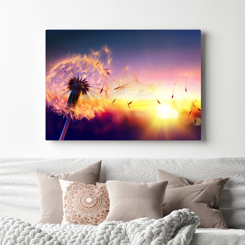 Leinwandbild goldener löwenzahn bei sonnenuntergang – Wallnifity® Leinwandbild goldener löwenzahn bei sonnenuntergang – Wallnifity®