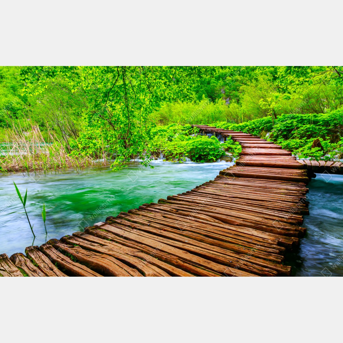 Leinwandbild ruhiger grüner steg über dem fluss – Wallnifity® Leinwandbild ruhiger grüner steg über dem fluss – Wallnifity®