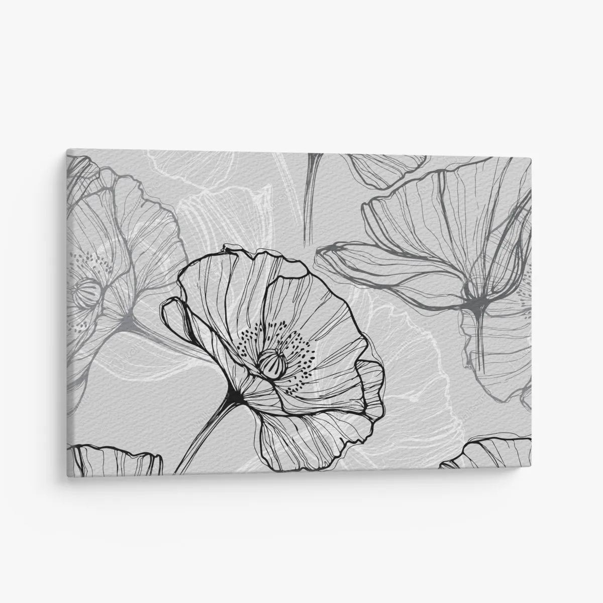 Leinwandbild zarter grauer mohn in linienzeichnung – Wallnifity® Leinwandbild zarter grauer mohn in linienzeichnung – Wallnifity®
