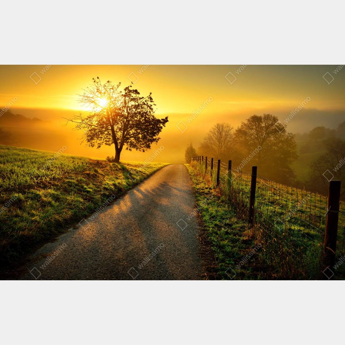 Leinwandbild sonnenbeschienener landweg durch die morgenwiese – Wallnifity® Leinwandbild sonnenbeschienener landweg durch die morgenwiese – Wallnifity®