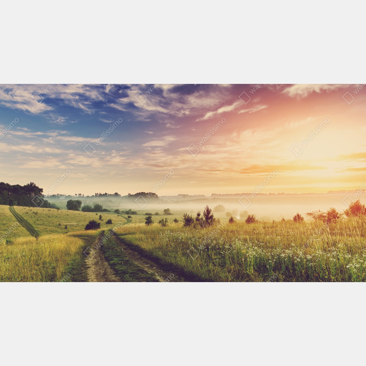 Leinwandbild nebeliger sonnenaufgang über einer ländlichen wiese – Wallnifity®