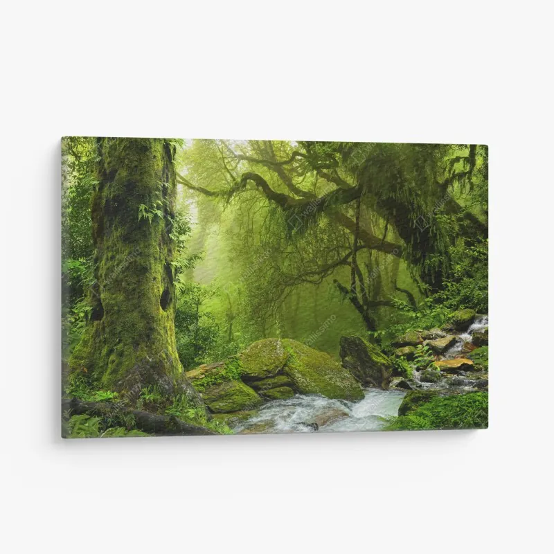 Leinwandbild türkisfarbene lagune aus der luft, Mauritius – Wallnifity®