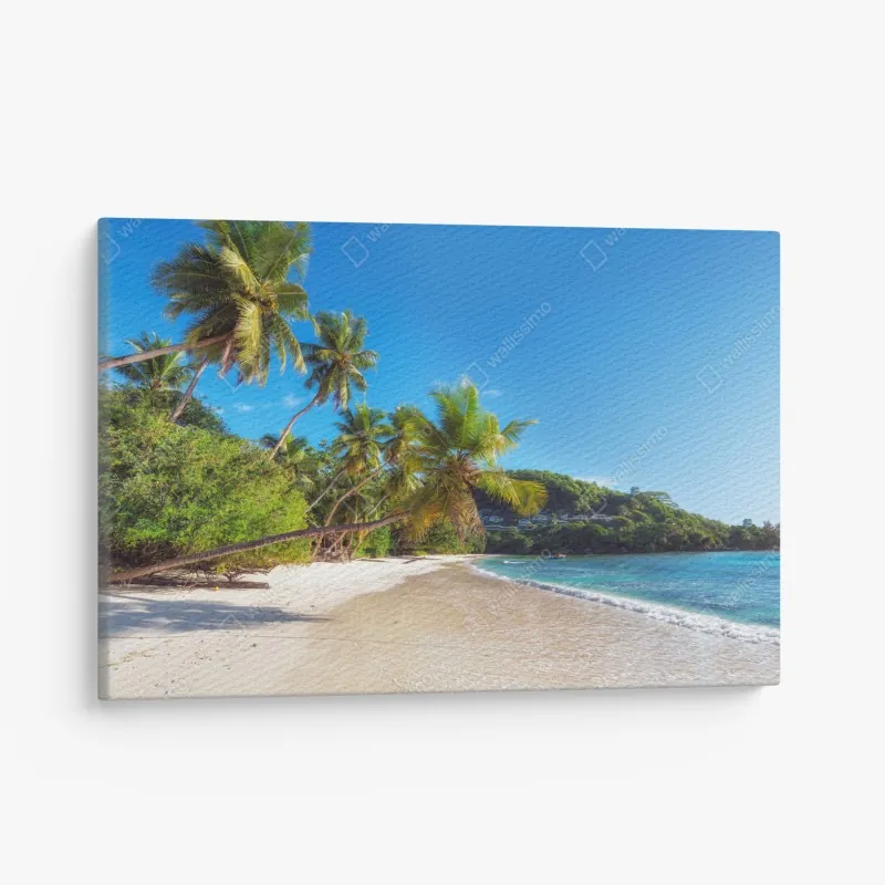 Leinwandbild sonniger pfad im regenwald der Tasman-Halbinsel, Tasmanien – Wallnifity®