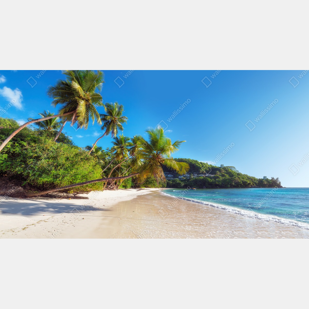 Leinwandbild tropischer palmstrand – Wallnifity® Leinwandbild tropischer palmstrand – Wallnifity®