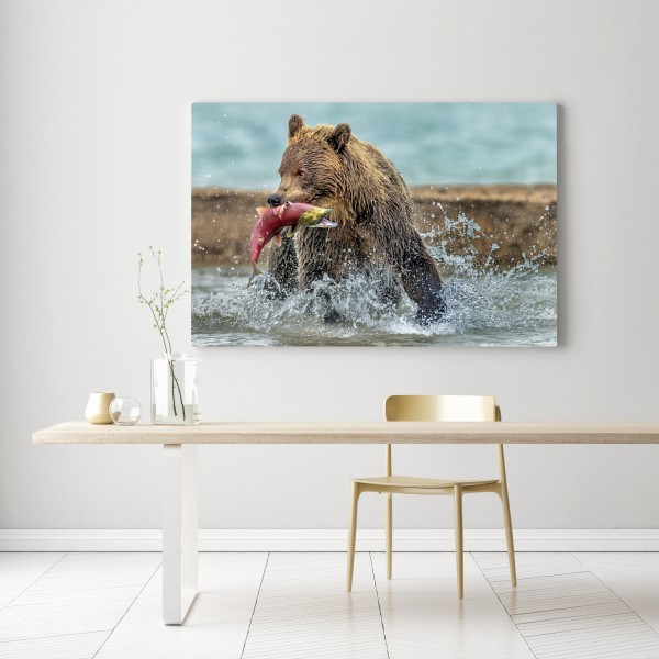 Leinwandbild braunbär fängt lachs im fluss – Wallnifity® Leinwandbild braunbär fängt lachs im fluss – Wallnifity®